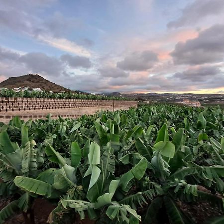 Rk Hacienda La Rekompensa أروكاس المظهر الخارجي الصورة